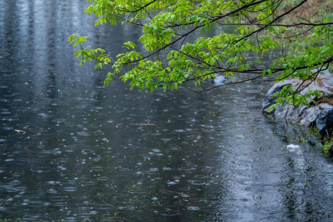 梅雨季浑身黏腻乏力？中医教你科学祛湿