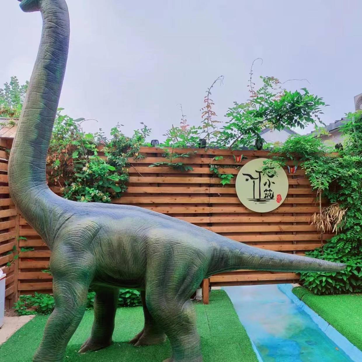 孩子睡着后，我和队友在院子里喝了三小时酒_白天_地方_时间