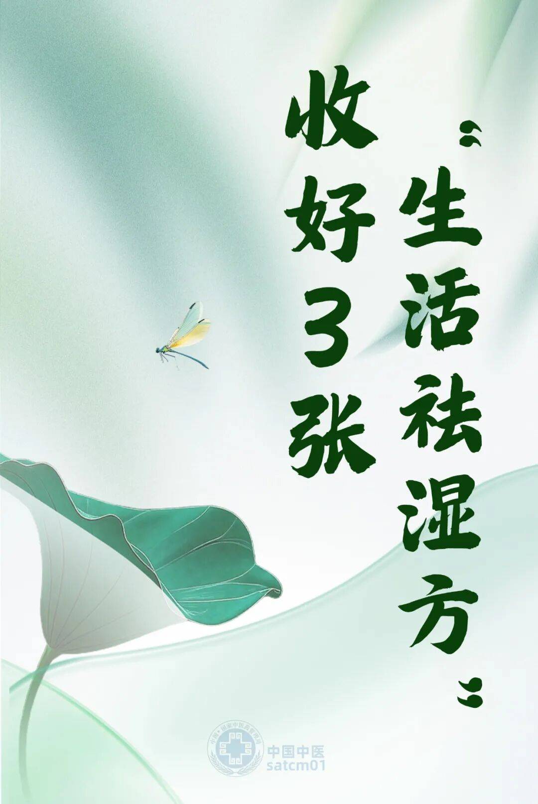 【健康养生】夏季湿气易缠身，收好3张“生活祛湿方”，日常调养超实用