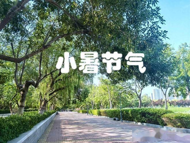 小暑吃三宝入伏没烦恼，7月7日小暑记得吃3宝，清热解暑安稳度夏