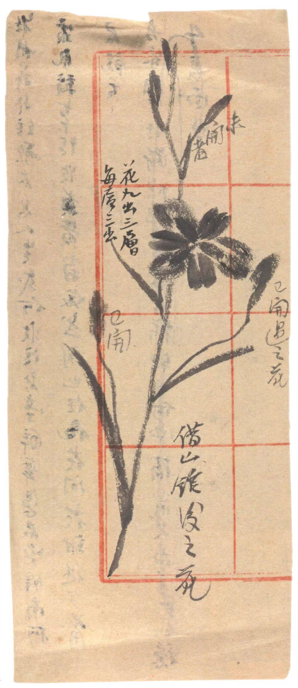 文章配图-1