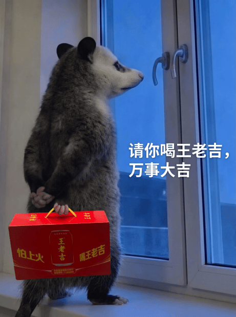 文章配图-2