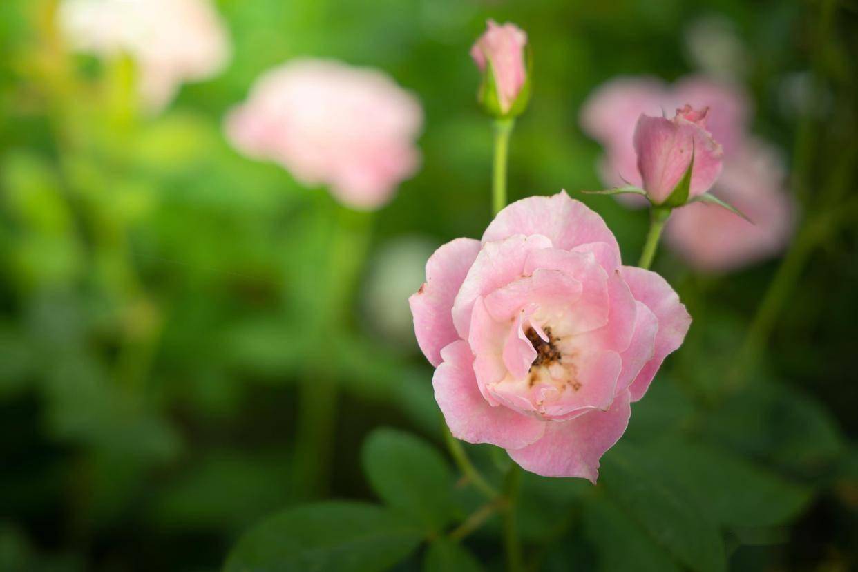 原创            男人的生理性喜欢，往往藏在睡前这三个不经意的小动作里