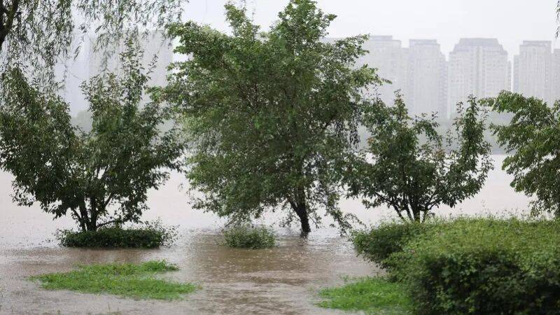 沈阳暴雨内涝，单日降雨量达 223.8 毫米，打破当地观测史纪录，雨为什么这么大？导致内涝的原因有哪些？