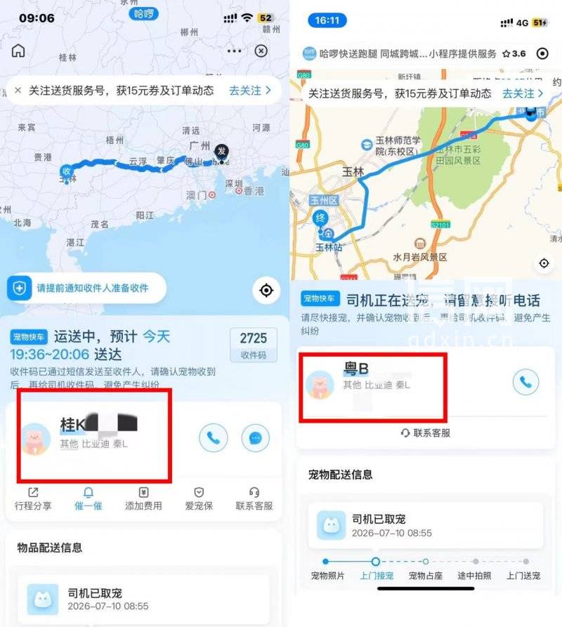 哈啰宠物出行司机将三只猫扔进后备箱闷死 把猫尸丢在垃圾桶(图3) 文章配图-1