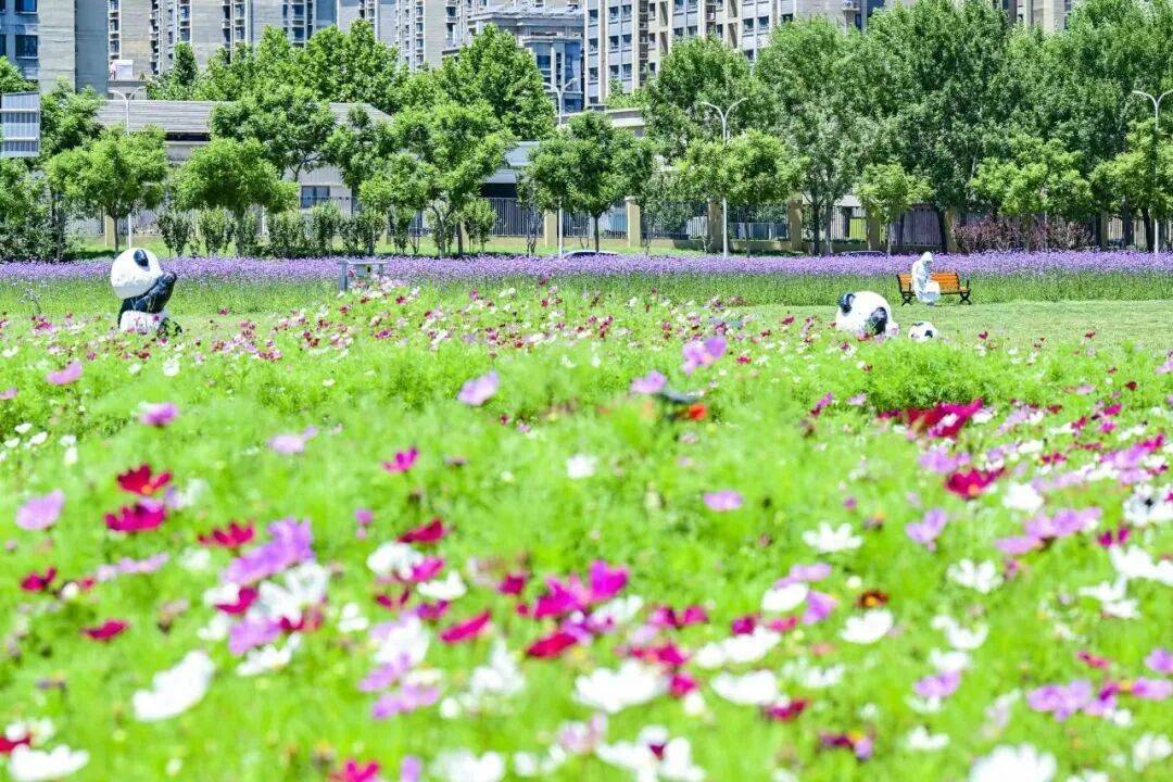 通州释放百余处公园空间，探索“公园+”运营模式