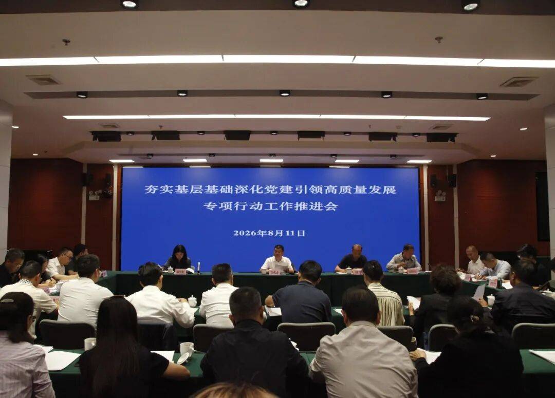 强基固本抓党建 引领高质量发展！省国资委召开夯实基层基础深化党建引领高质量发展专项行动工作推进会_国企_会议