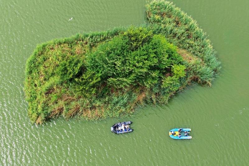 山东青岛：守护湿地家园传播生态文明