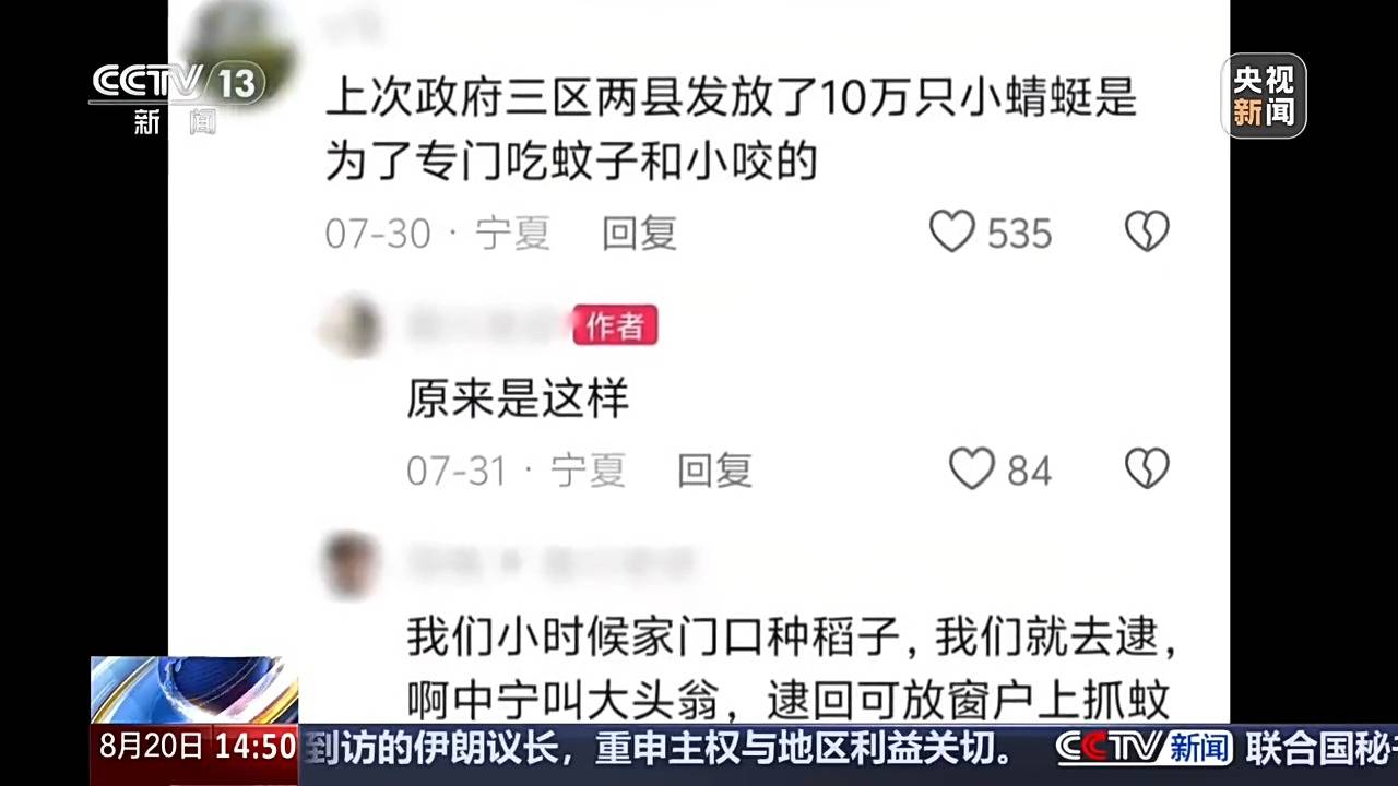 宁夏银川投放蜻蜓灭蚊是谣传！蚊子减少是何原因？
