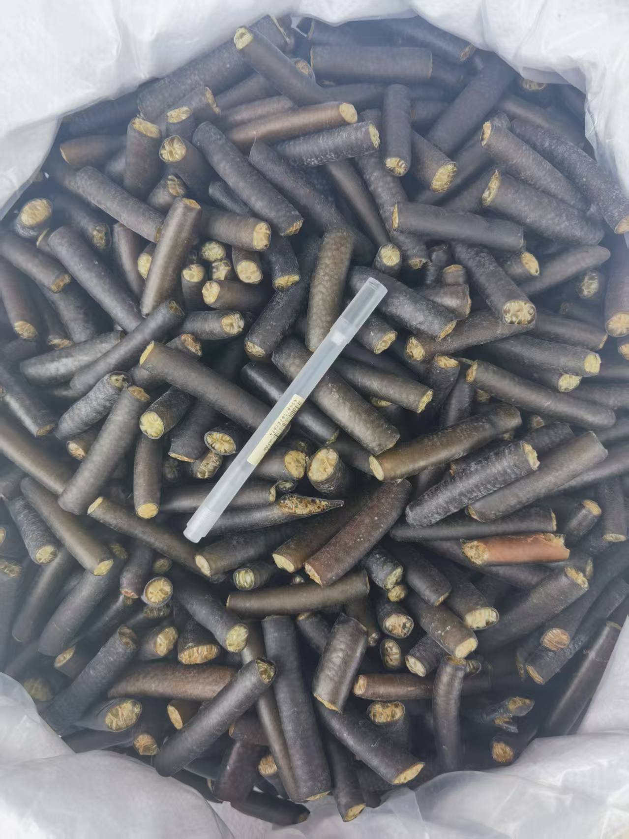 冰笋在山东市场走俏 特色水产食材助力企业提质增效_加工_海产品_应用