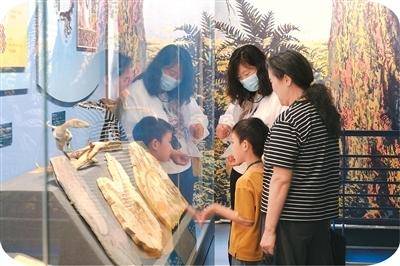 文章配图-3