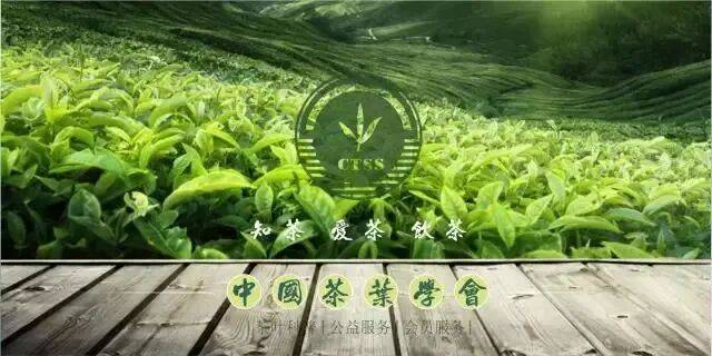 茶科普 | 康普茶，一杯“活”的发酵茶