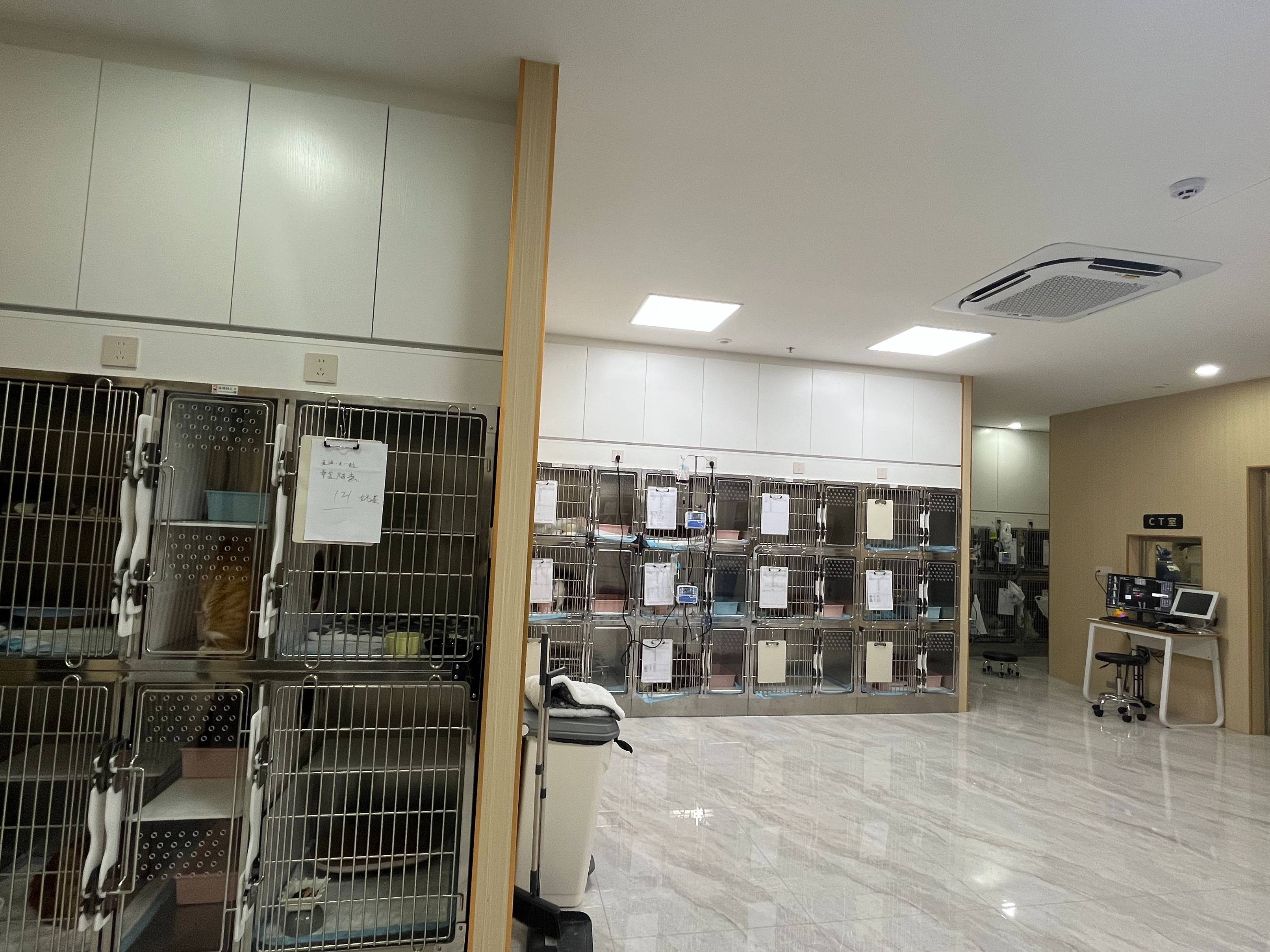 深圳宝安区影像科动物宠物医院，深圳瑞禾动物医院技术文章