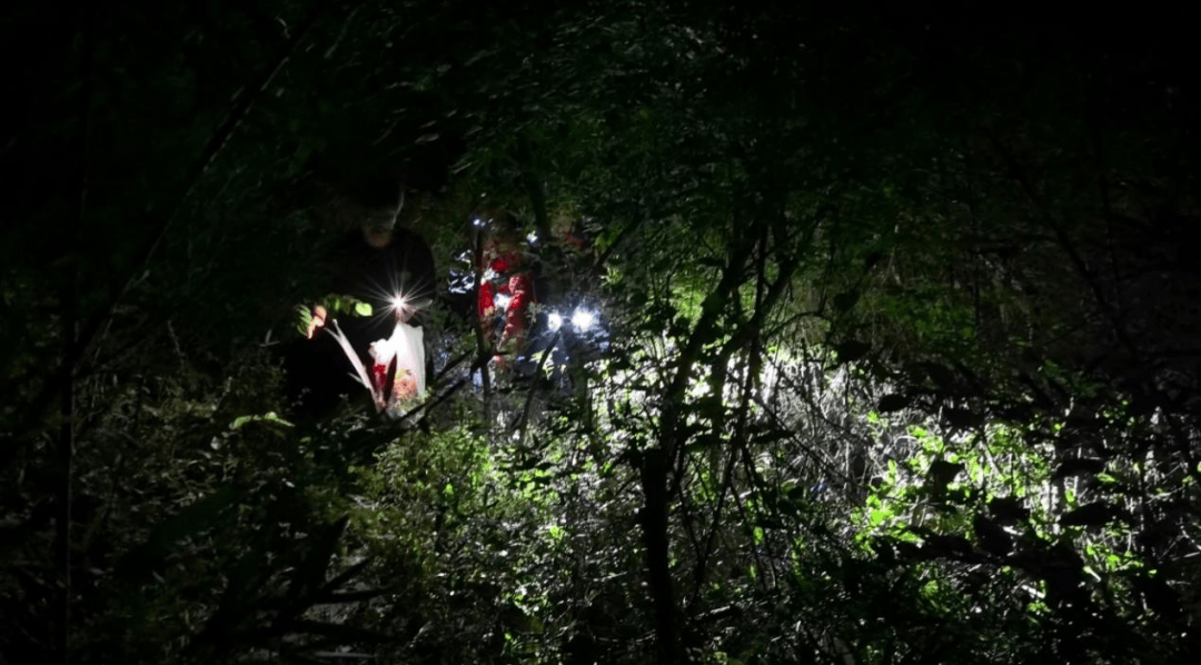 21岁女子凌晨送外卖被导航至未开发的深山，心想“这单再不送成功岂不是亏大了”，警方用近两个小时将其救下山