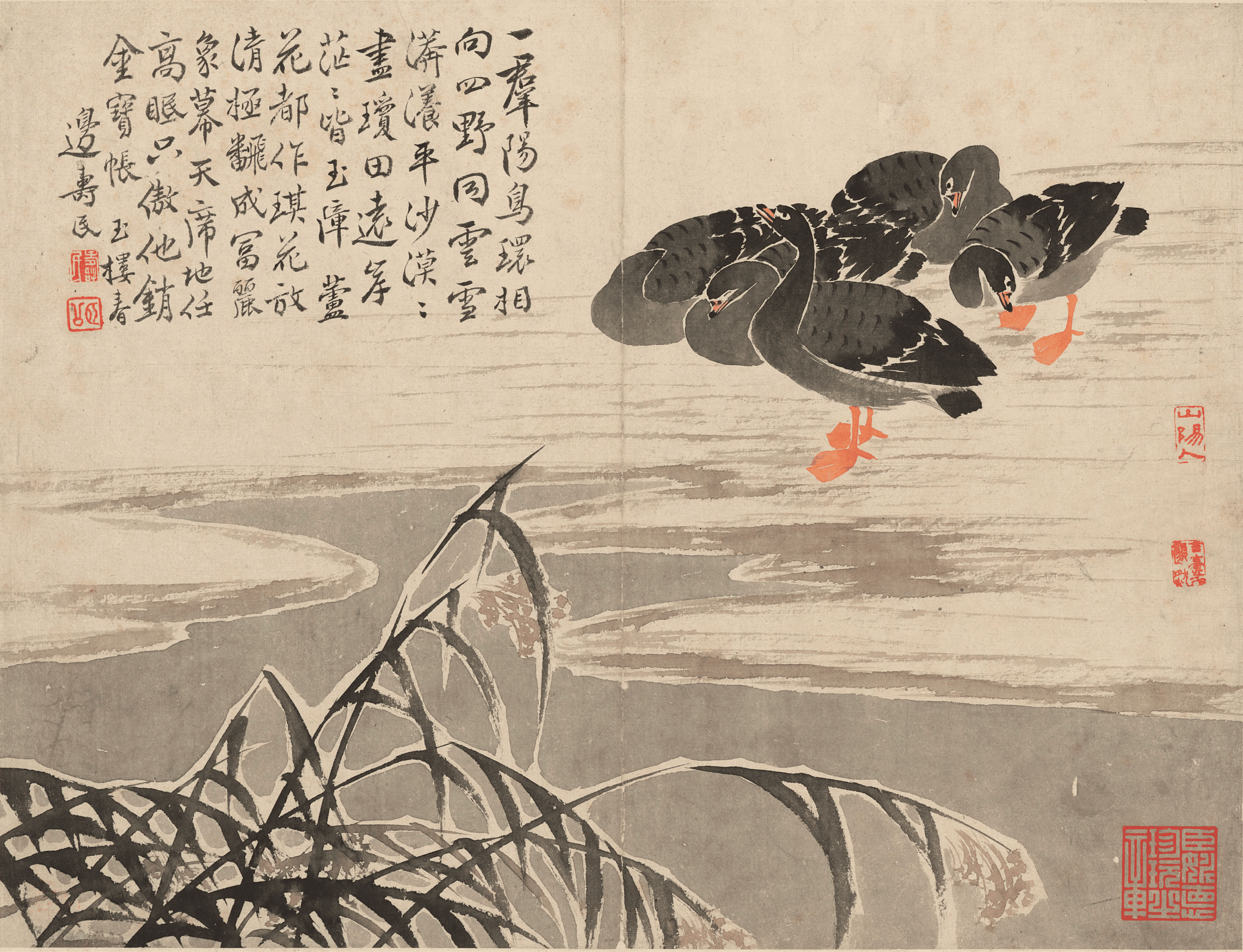 文章配图-1