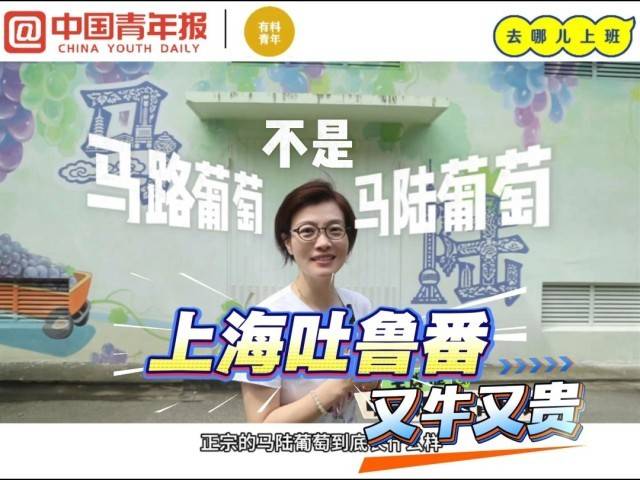 上海马陆：45年领导换了好几拨，葡萄产业始终是“顶流”