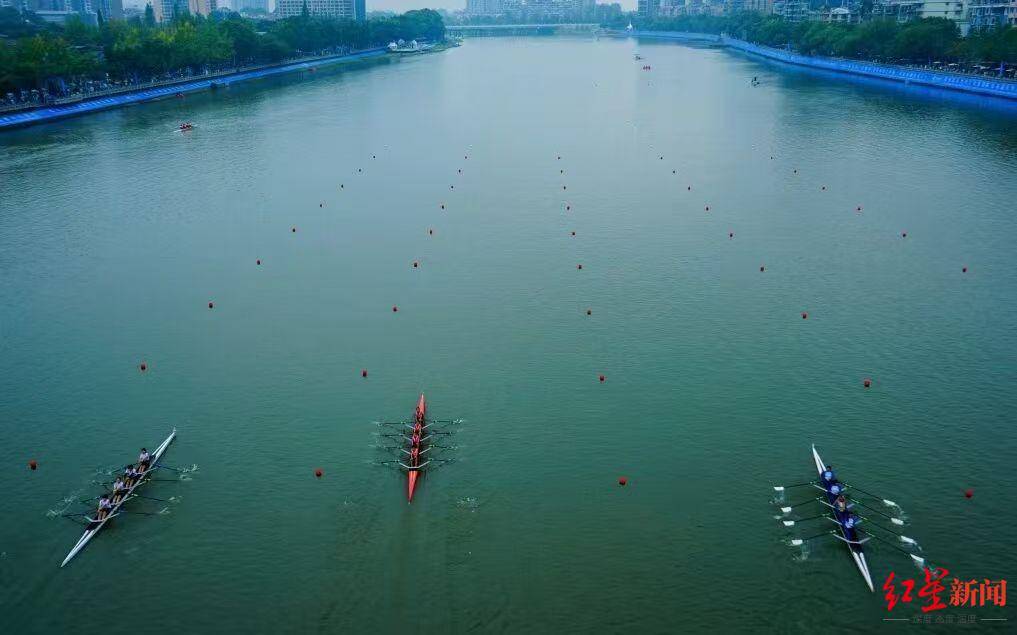 创历届之最！35支中外队伍逐浪新津南河，2026年成都赛艇公开赛国庆挥桨