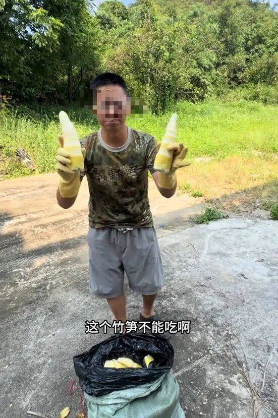 广东清远通报“硫磺熏制竹笋”