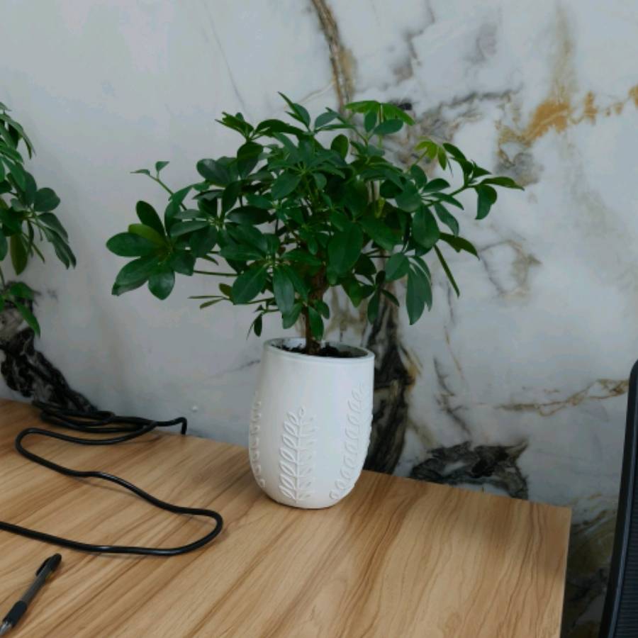 7B模型如何用一套训练秘方，和千亿参数的大模型掰手腕_注意力_推理_团队