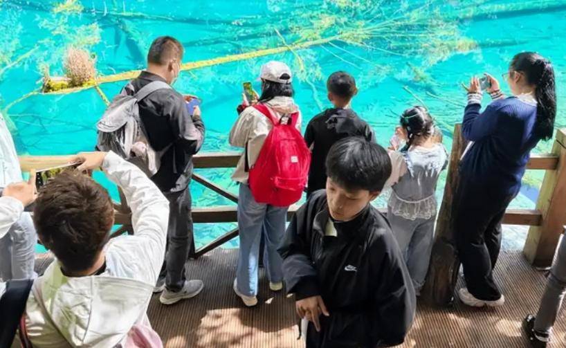 国庆出行大变样！避开人流扎堆，这4个反向操作太舒服(图9)