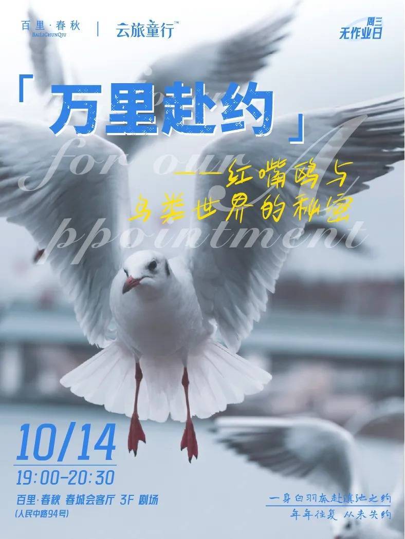 红嘴鸥先头部队抵达滇池 科普讲座解码候鸟迁徙奥秘