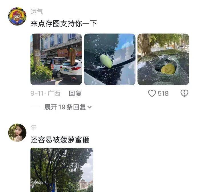 果然南方只有人小，其他什么都大！[11P]