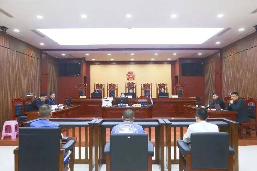 “我实在受不了了”信阳一父亲举报儿子诈骗：通过伪造机动车登记证书、行驶证将租来车辆抵押借款，因无法按时还款，债主频繁上门辱骂威胁