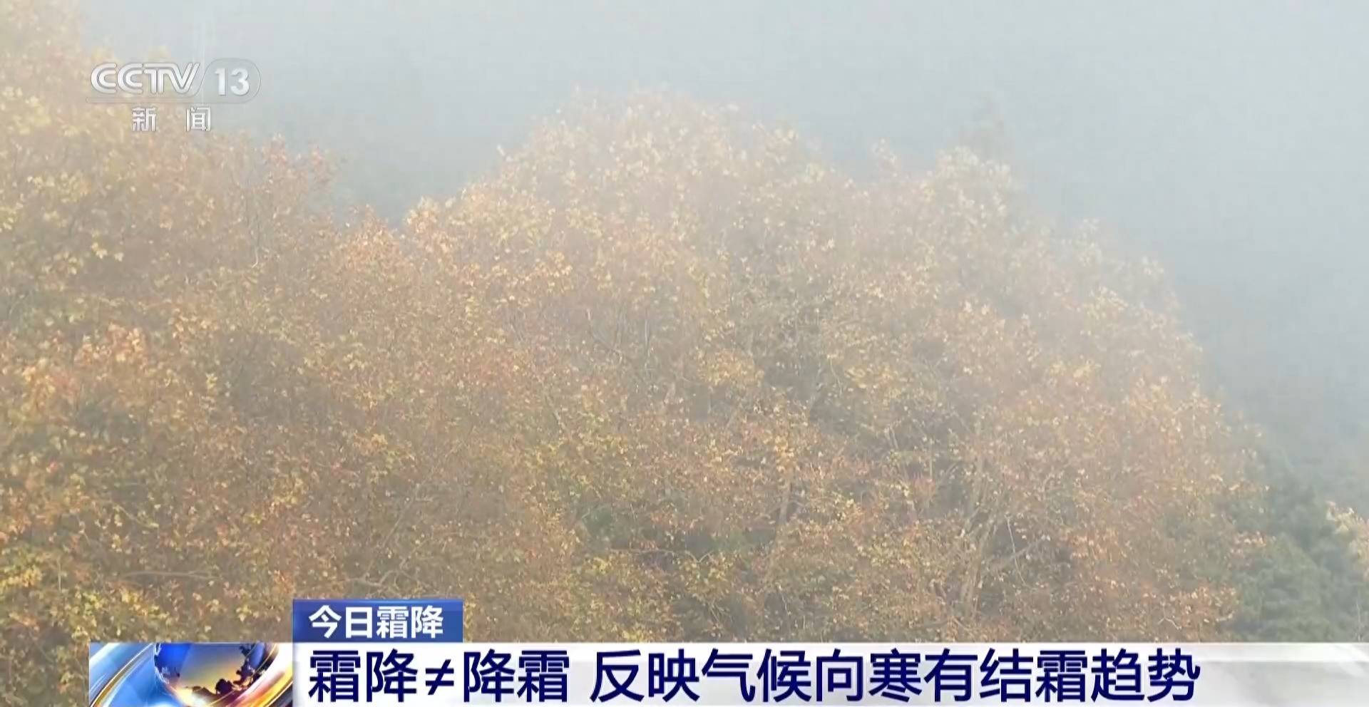 霜降天一定会降霜吗？霜降≠降霜