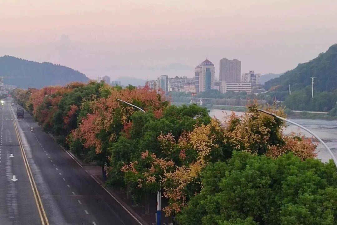 秋游大武夷｜建阳秋日美景正在加载中(图5)