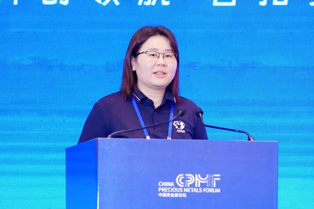 2026中国贵金属论坛昆明开幕，卢柯姜涛等院士出席共话科创(图14)