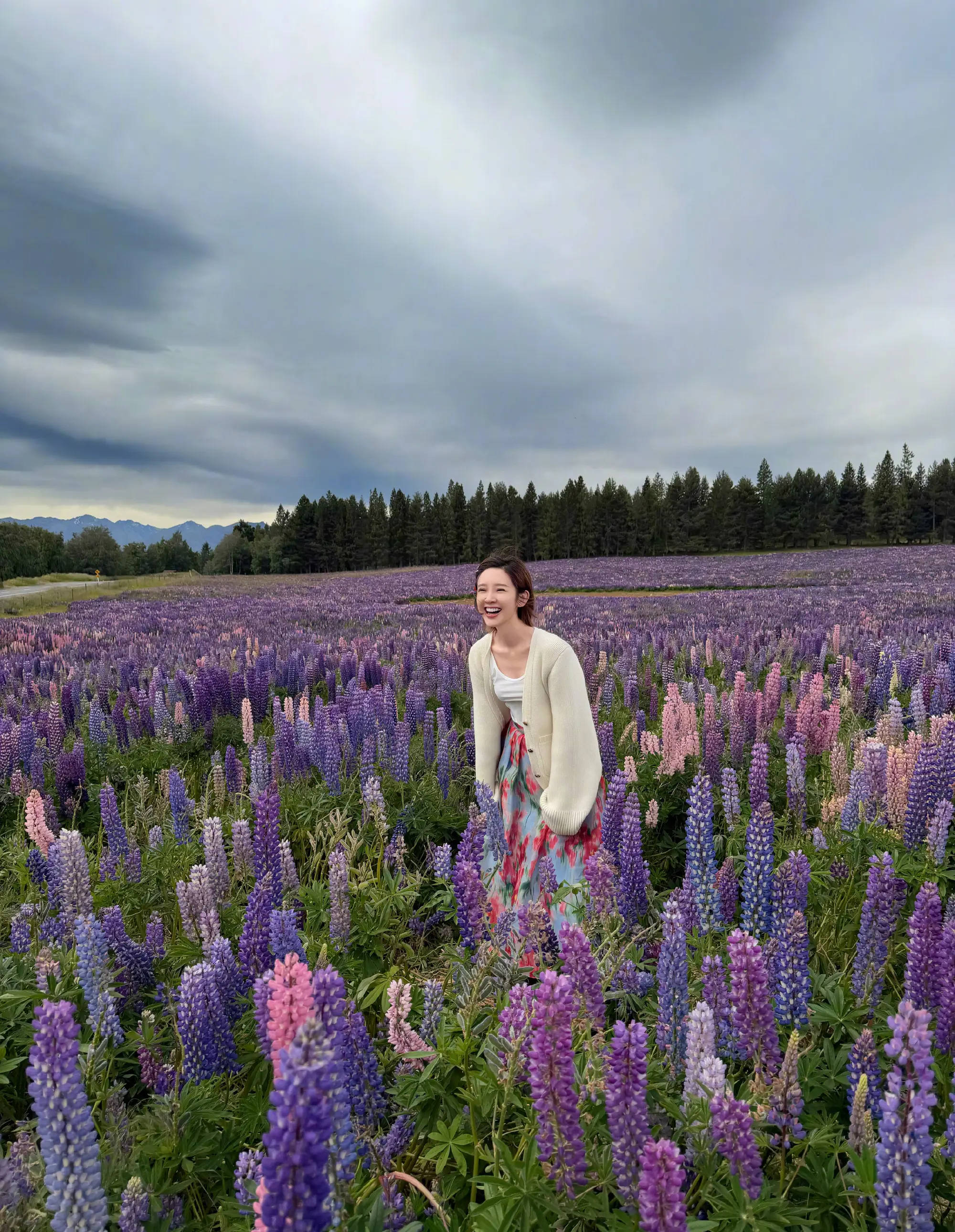 唐艺昕薰衣草花海安祥溜达！绽开灿烂笑颜热情大好