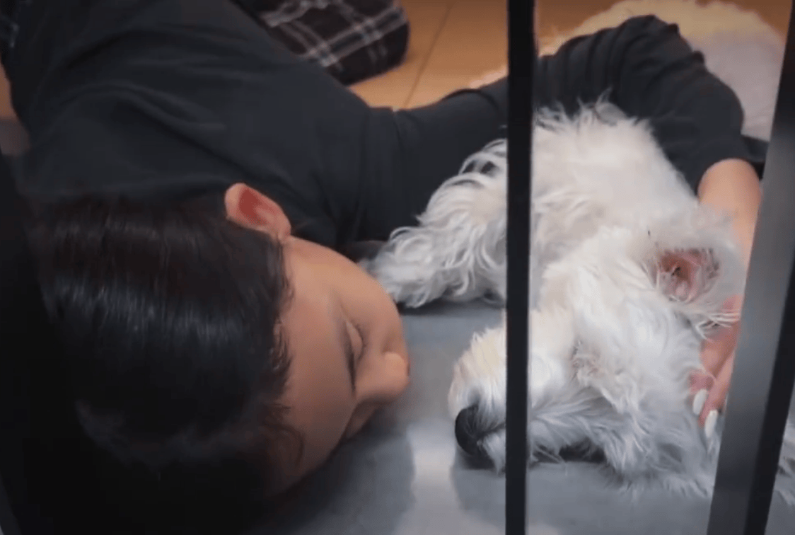 黄磊浑家晒仨孩子曩昔生计！小男儿拉大提琴超帅气